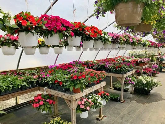 Walpole Outdoors at Bay Gardens