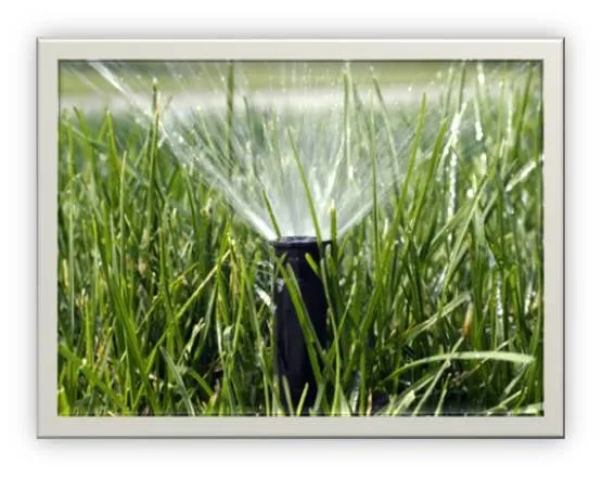 Trusted landscaping services in Vancouver, WA by Walsh and Company Landscape Maintenance