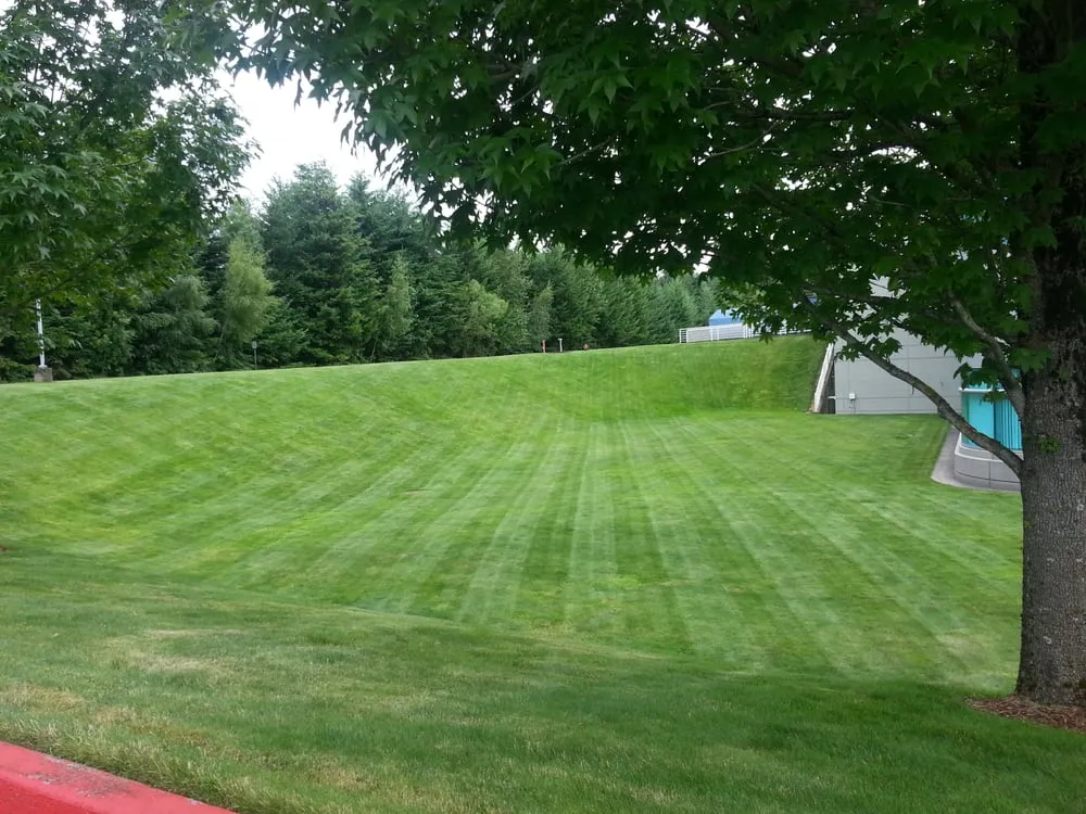 Local landscape installation in Vancouver, WA by Walsh and Company Landscape Maintenance