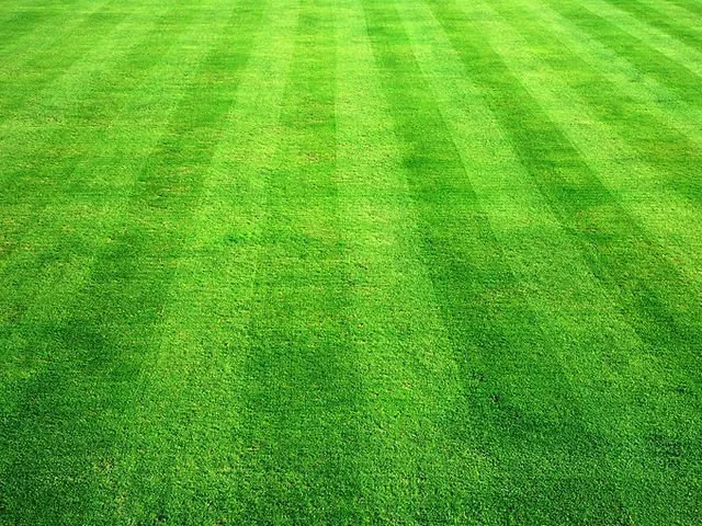 Reliable landscaping services near you across Marshall, MO - Walsh Lawn Care