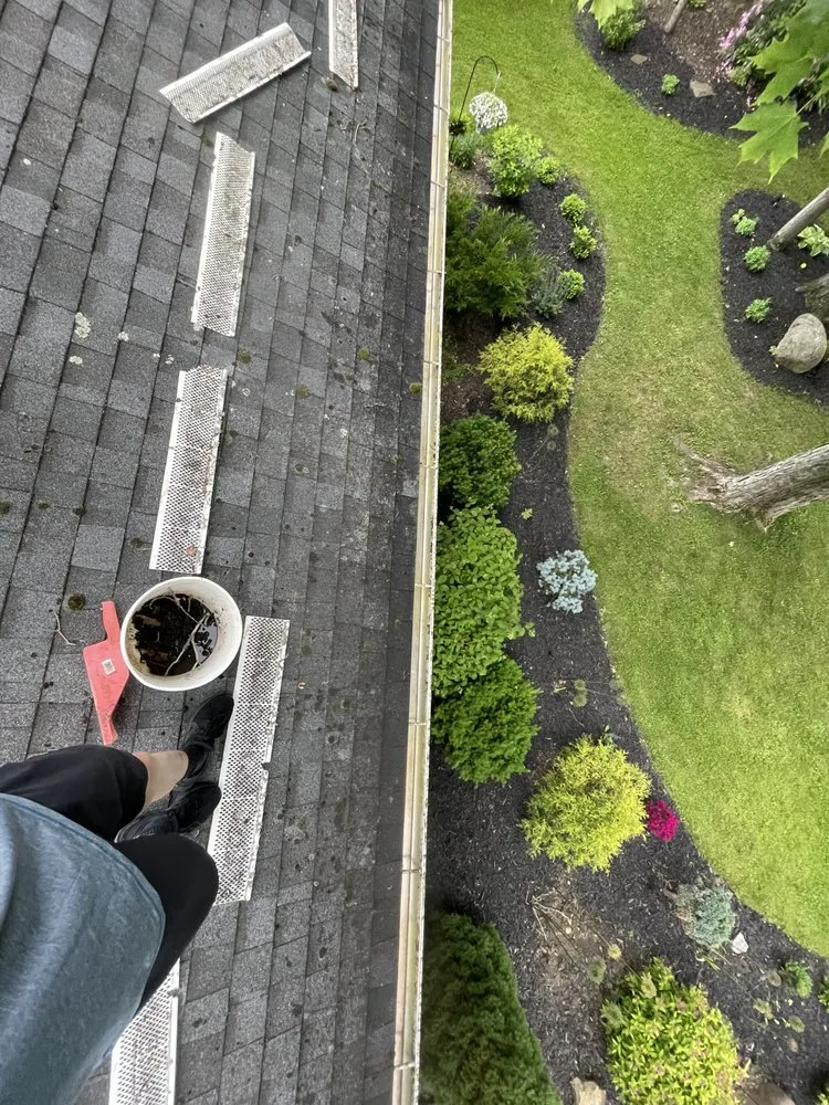 Top-rated lawn care service experts serving Utica, NY - Walsh's Home Improvement Services