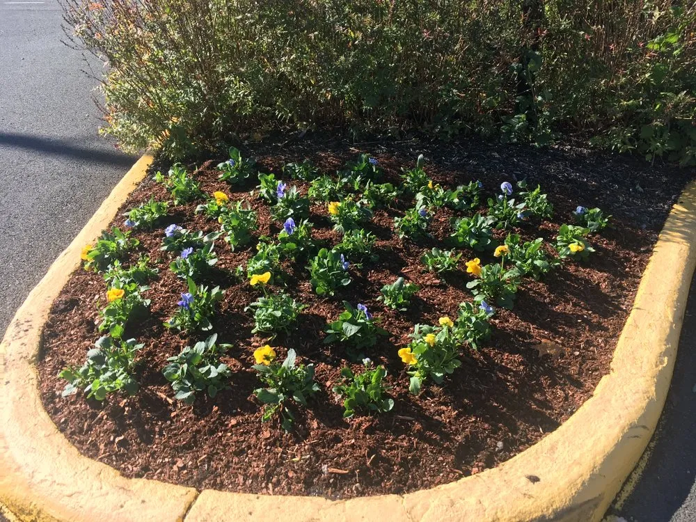 Custom lawn care service in Manassas Park, VA - Walter Gutierrez