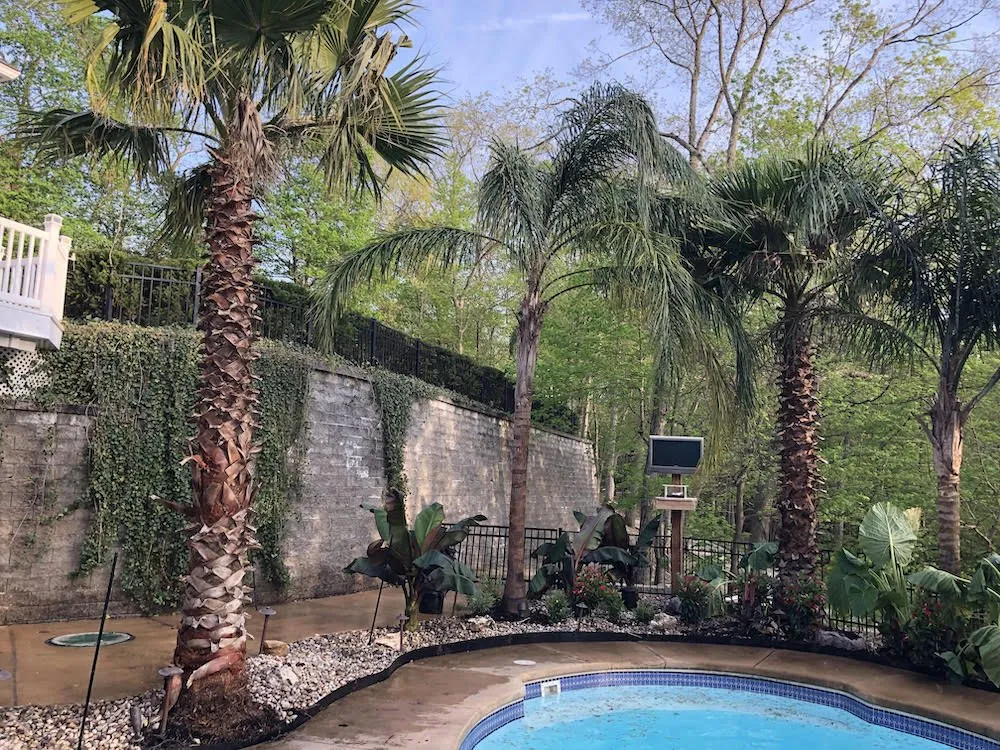 Expert lawn care service near you across Arnold, MO - Walter Knoll Florist