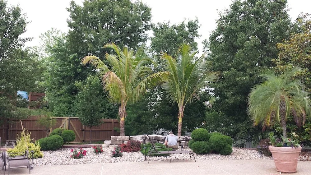 Local lawn care service for beautiful yards in Arnold, MO by Walter Knoll Florist