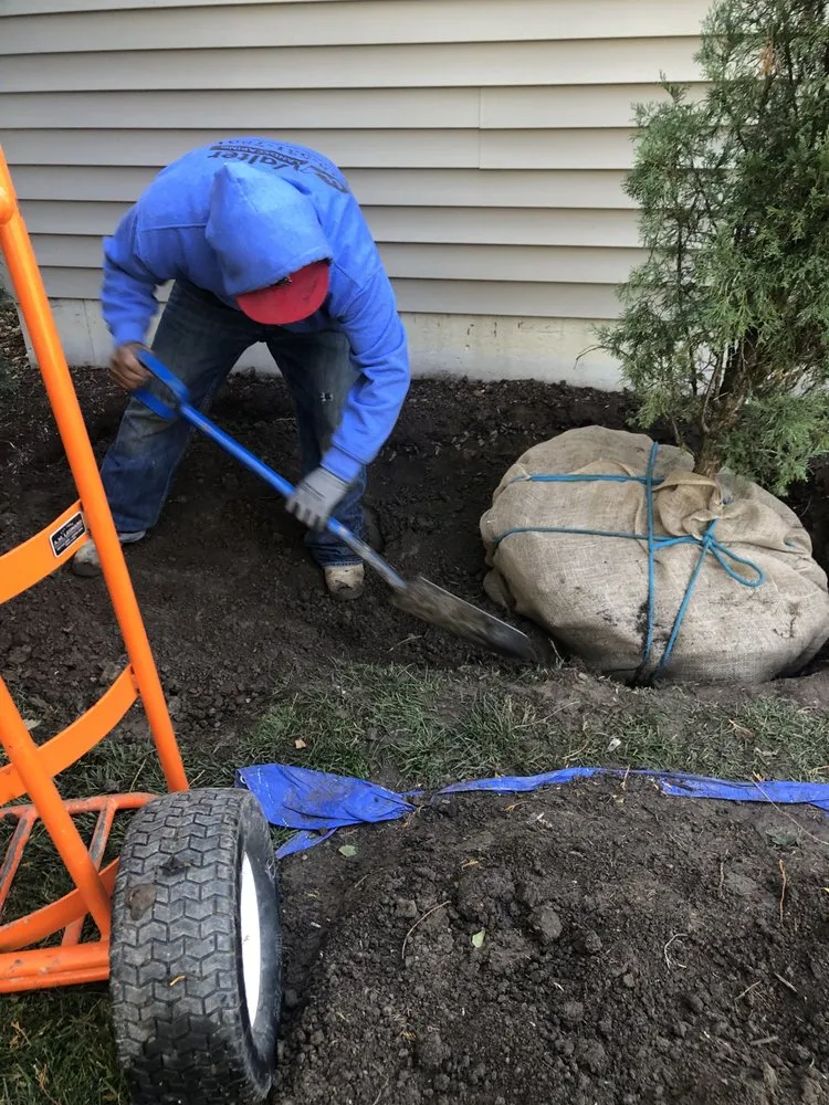 Top-rated yard maintenance in Ofallon, IL by Walter Landscaping