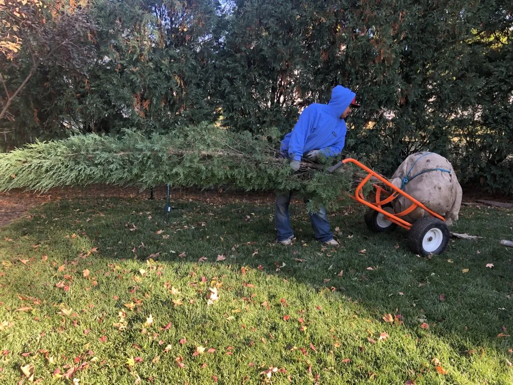 Custom outdoor landscaping in Ofallon, IL - Walter Landscaping