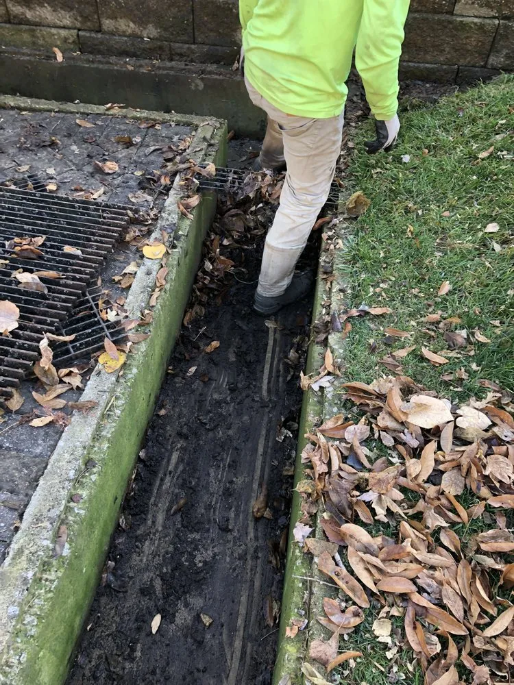 Local yard maintenance in Ofallon, IL - Walter Landscaping