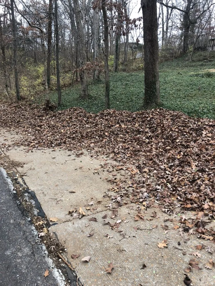 Local lawn care service experts serving Ofallon, IL - Walter Landscaping