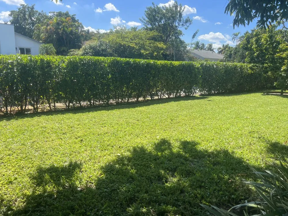 Reliable outdoor landscaping experts serving Fort Lauderdale, FL - Walter Nery Landscaping