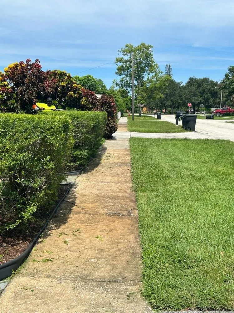 Affordable garden landscaping for beautiful yards across Fort Lauderdale, FL - Walter Nery Landscaping