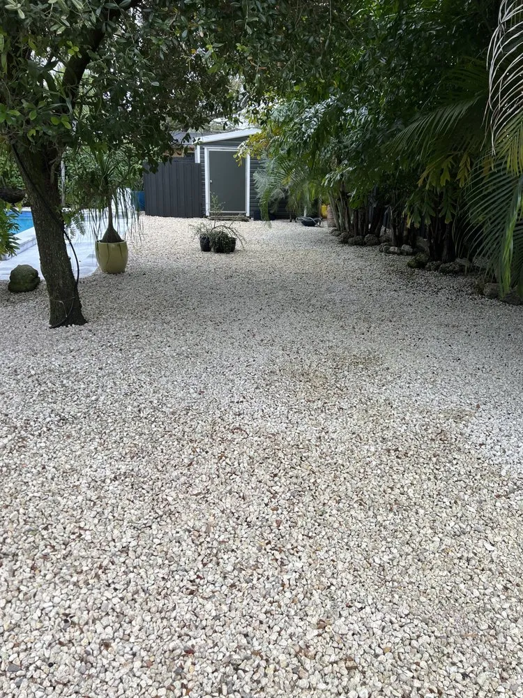 Affordable yard cleanup service in Fort Lauderdale, FL by Walter Nery Landscaping