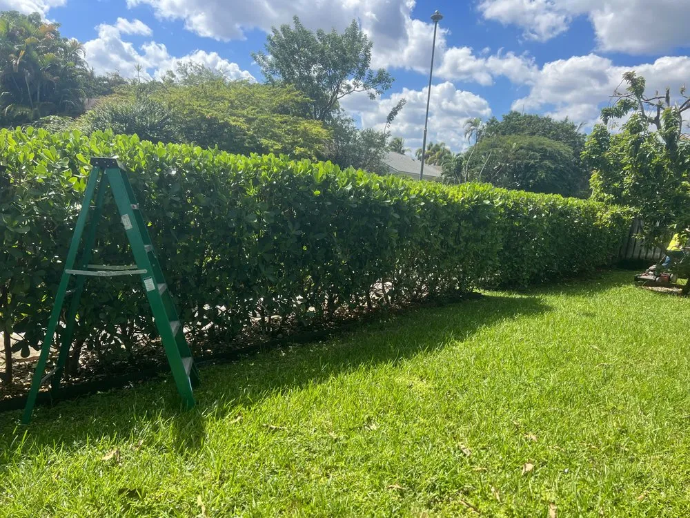 Expert landscape installation experts serving Fort Lauderdale, FL - Walter Nery Landscaping