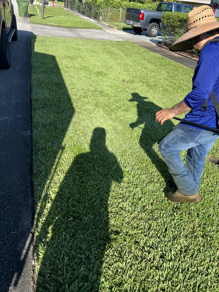 Professional outdoor landscaping in Fort Lauderdale, FL by Walter Nery Landscaping