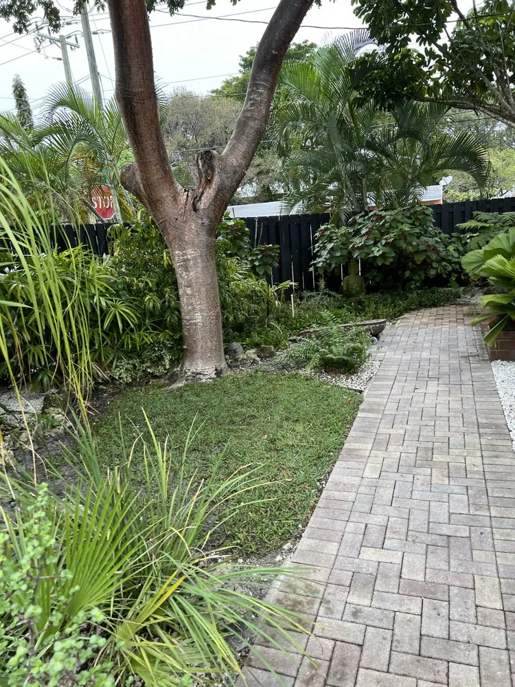 Local landscaping services in Fort Lauderdale, FL by Walter Nery Landscaping