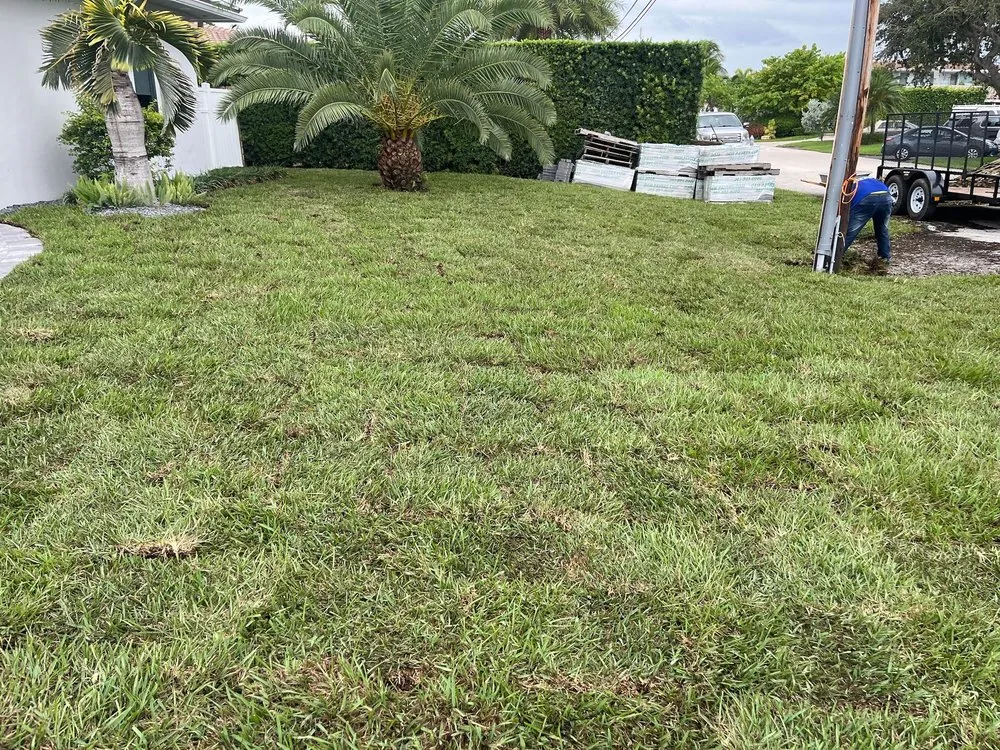 Reliable yard cleanup service for residential properties across Fort Lauderdale, FL - Walter Nery Landscaping