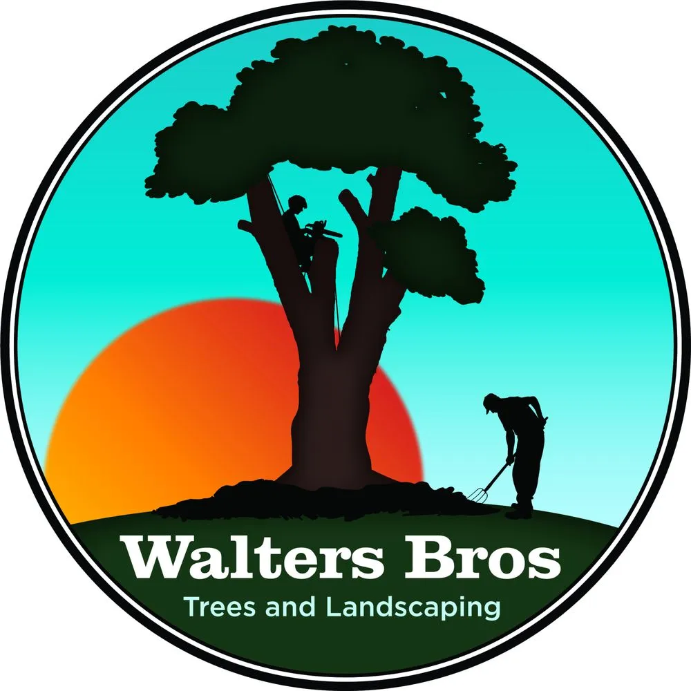 Professional yard cleanup service with custom design in Murfreesboro, TN by Walters Bros