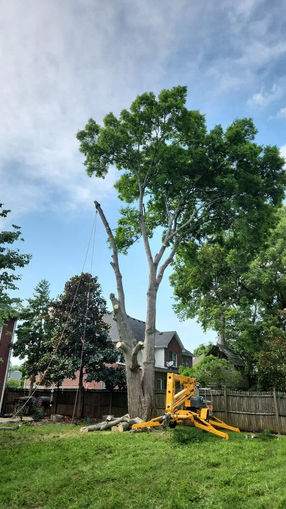 Trusted landscape design for year-round maintenance in Murfreesboro, TN by Walters Bros