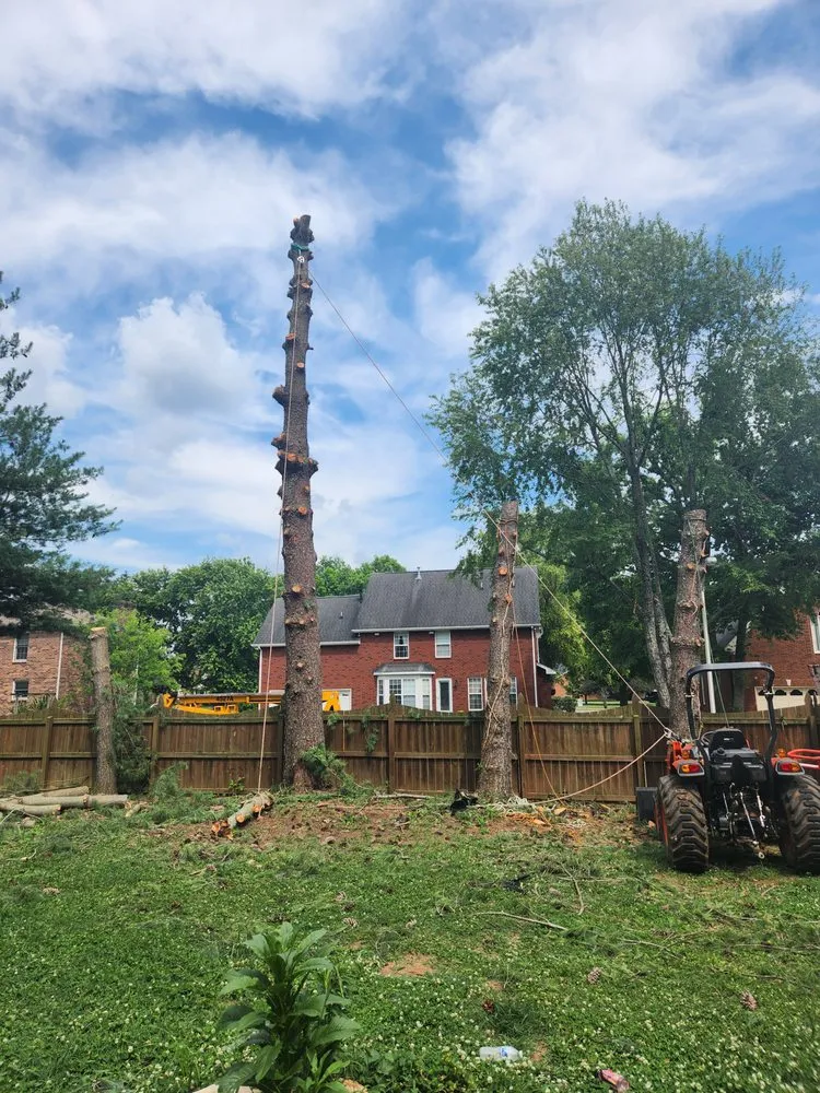 Local lawn care service for year-round maintenance in Murfreesboro, TN by Walters Bros