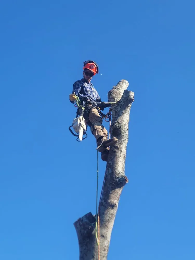 Affordable yard cleanup service near you in Murfreesboro, TN by Walters Bros