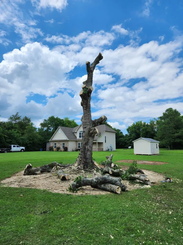 Top-rated landscape installation in Murfreesboro, TN by Walters Bros