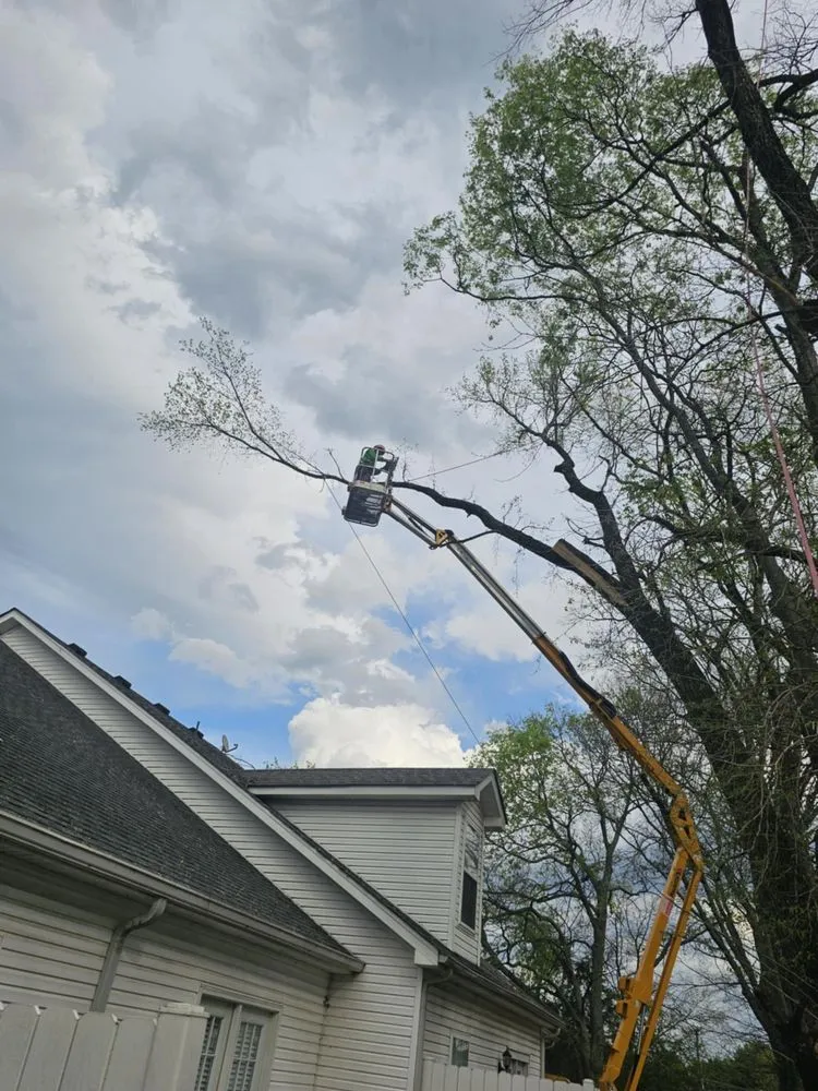 Reliable landscape installation in Murfreesboro, TN by Walters Bros