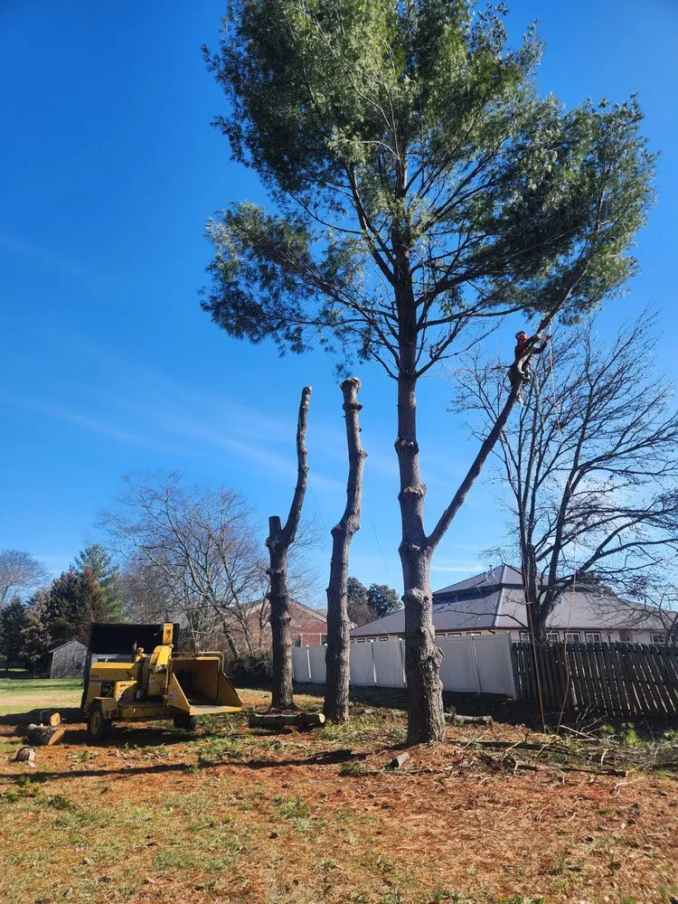 Reliable residential landscaping in Murfreesboro, TN by Walters Bros