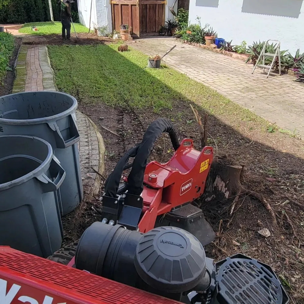 Local landscape installation for homes across miami, FL - Walter’s Landscape & Maintenance