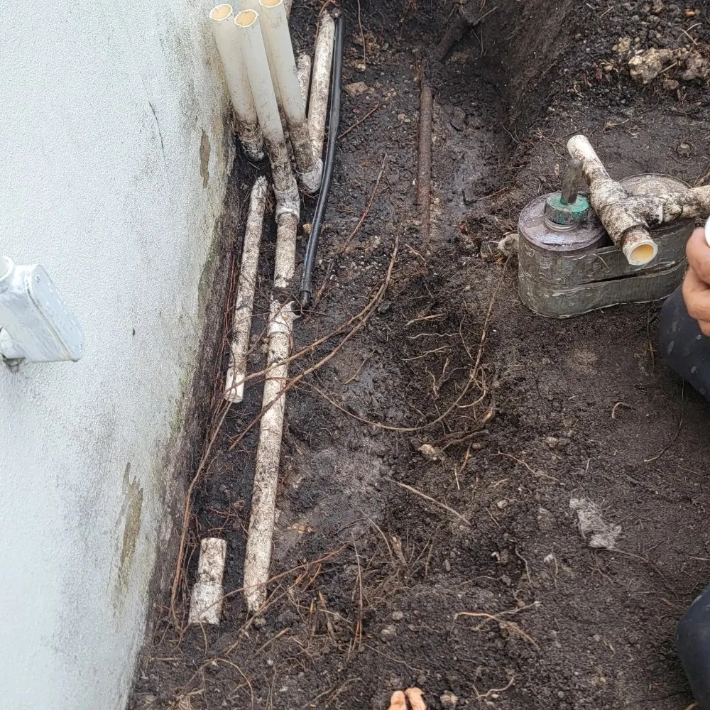 Custom landscape design experts serving miami, FL - Walter’s Landscape & Maintenance