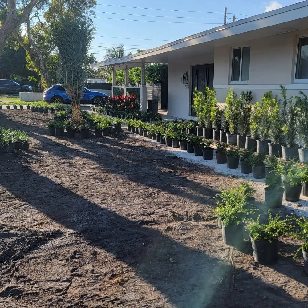 Reliable residential landscaping experts serving miami, FL - Walter’s Landscape & Maintenance
