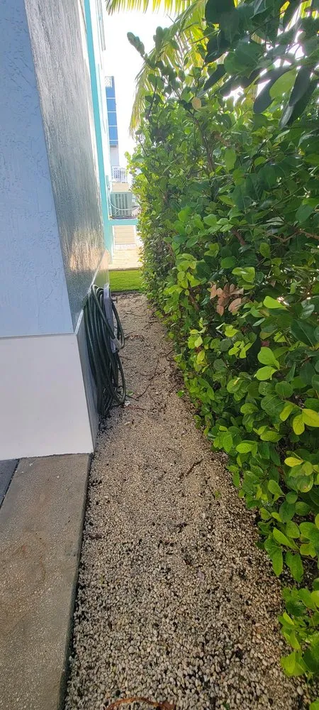 Local residential landscaping for beautiful yards in miami, FL by Walter’s Landscape & Maintenance