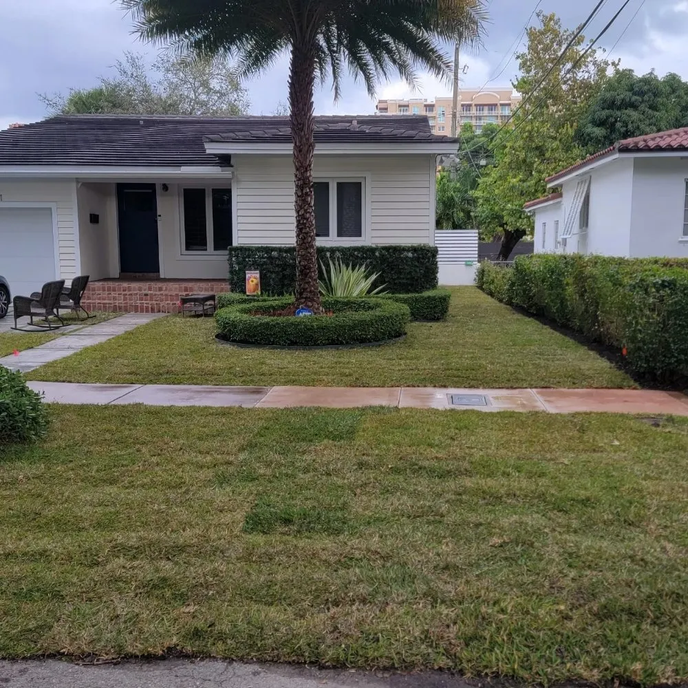 Affordable lawn care service for outdoor upgrades across miami, FL - Walter’s Landscape & Maintenance