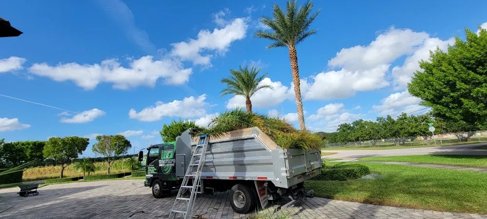 Expert landscape design for beautiful yards in miami, FL by Walter’s Landscape & Maintenance
