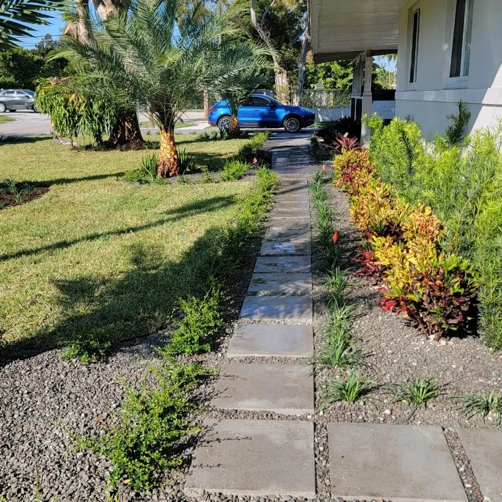 Local lawn care service experts serving miami, FL - Walter’s Landscape & Maintenance