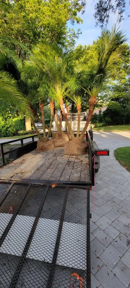 Top-rated lawn mowing service in miami, FL - Walter’s Landscape & Maintenance