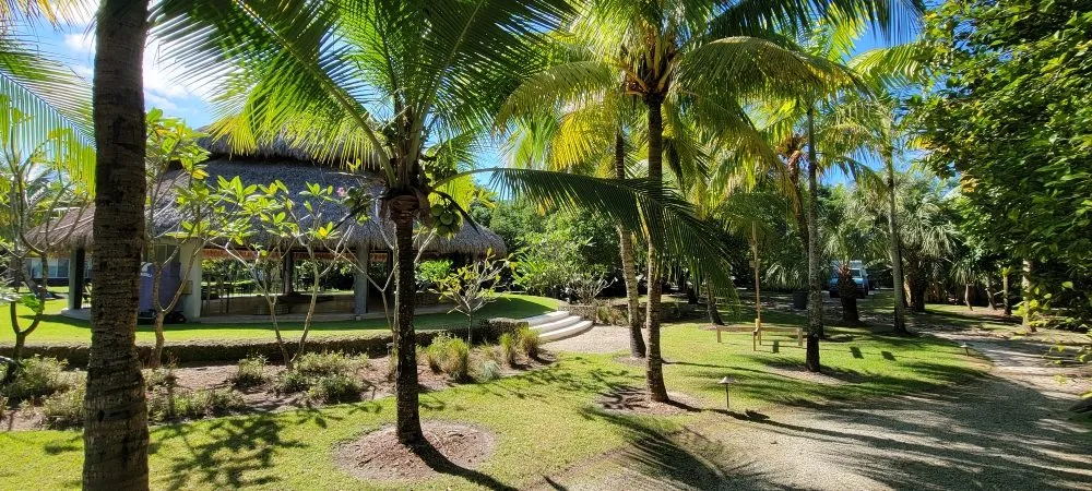 Local outdoor landscaping in miami, FL - Walter’s Landscape & Maintenance