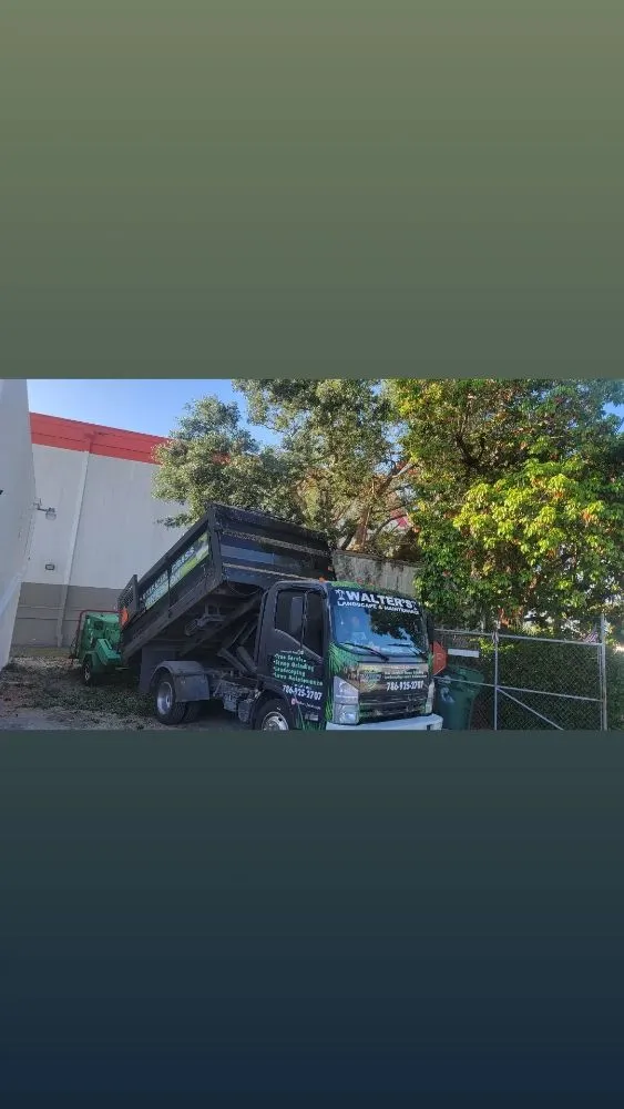 Trusted yard maintenance in miami, FL by Walter’s Landscape & Maintenance