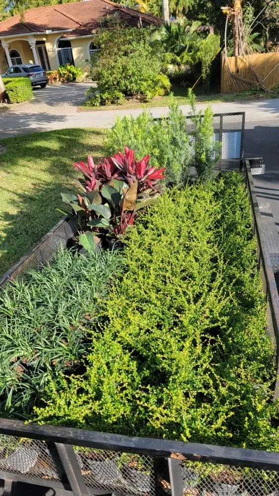 Reliable yard maintenance in miami, FL - Walter’s Landscape & Maintenance