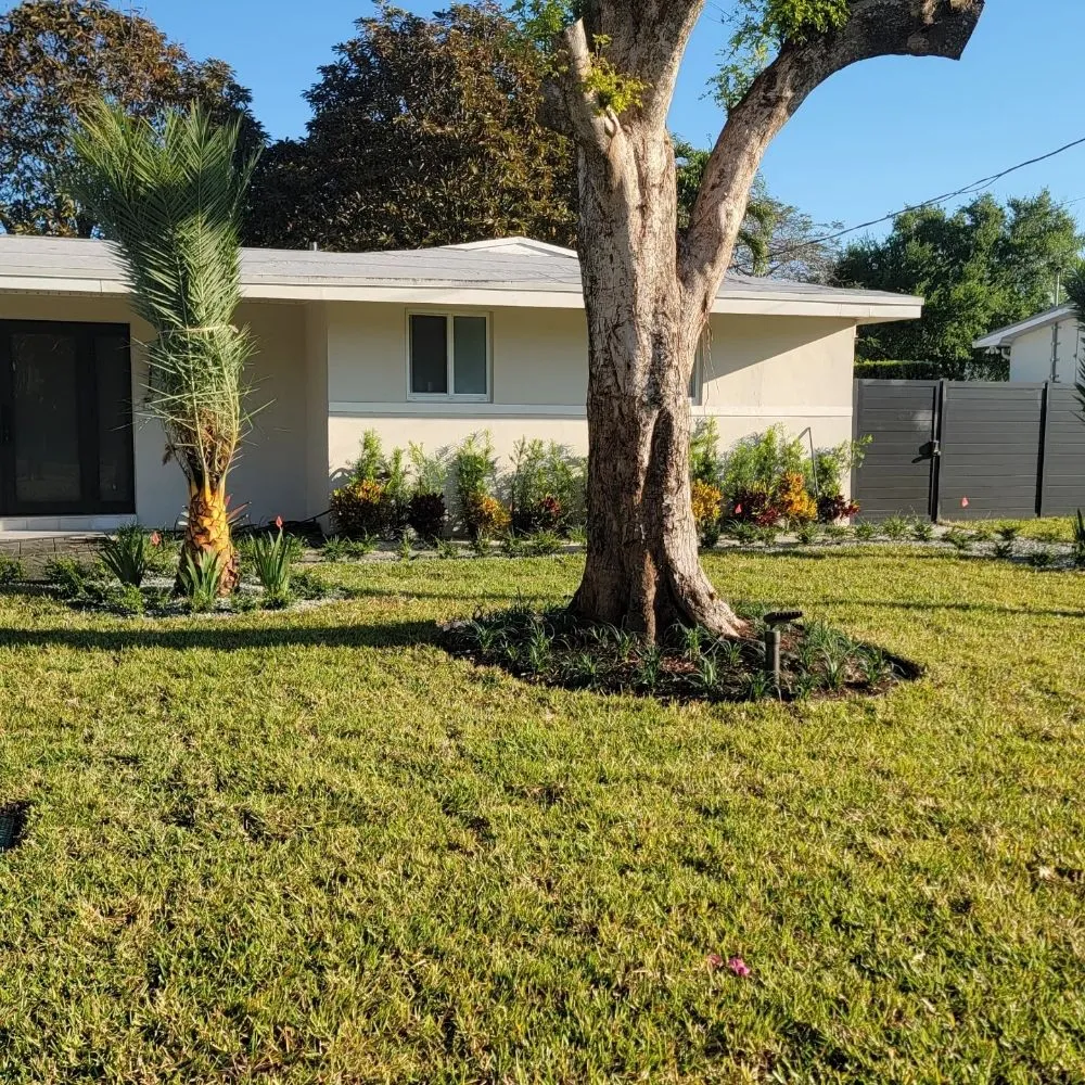 Top-rated landscape installation experts serving miami, FL - Walter’s Landscape & Maintenance