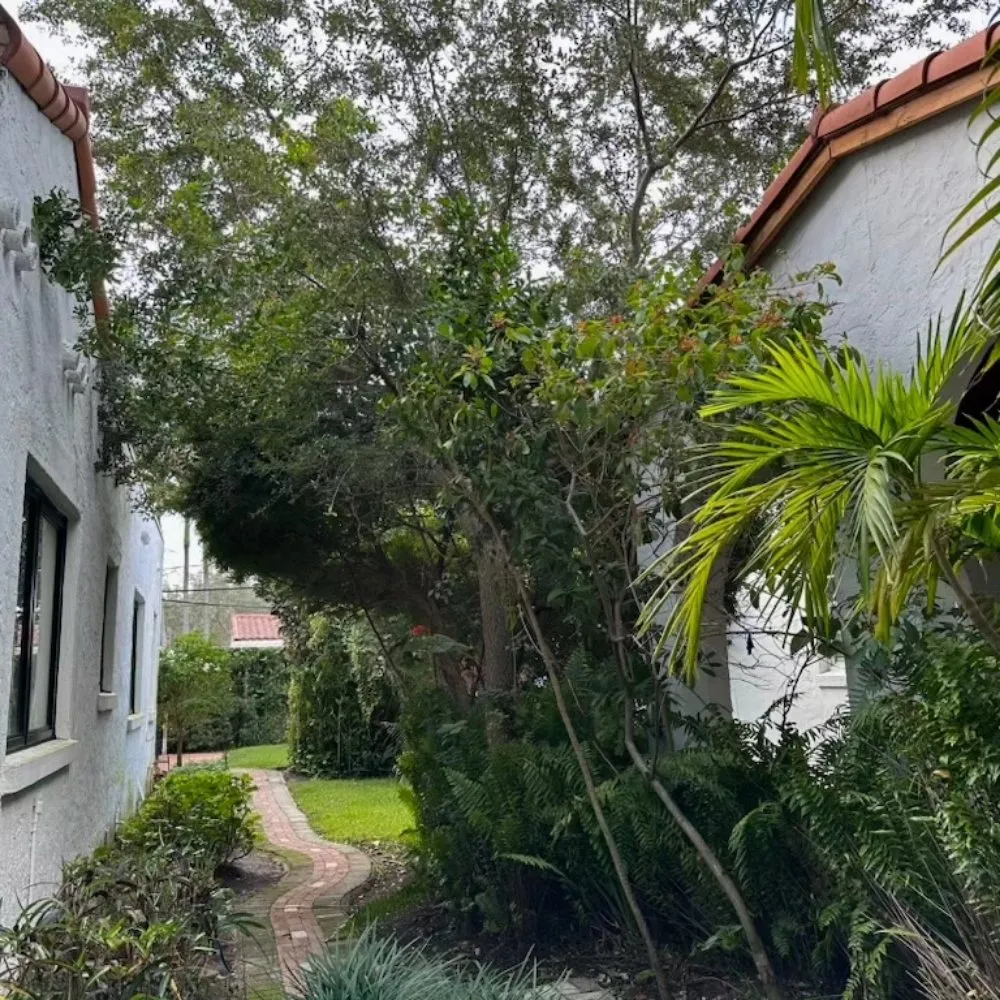 Custom lawn mowing service in miami, FL - Walter’s Landscape & Maintenance