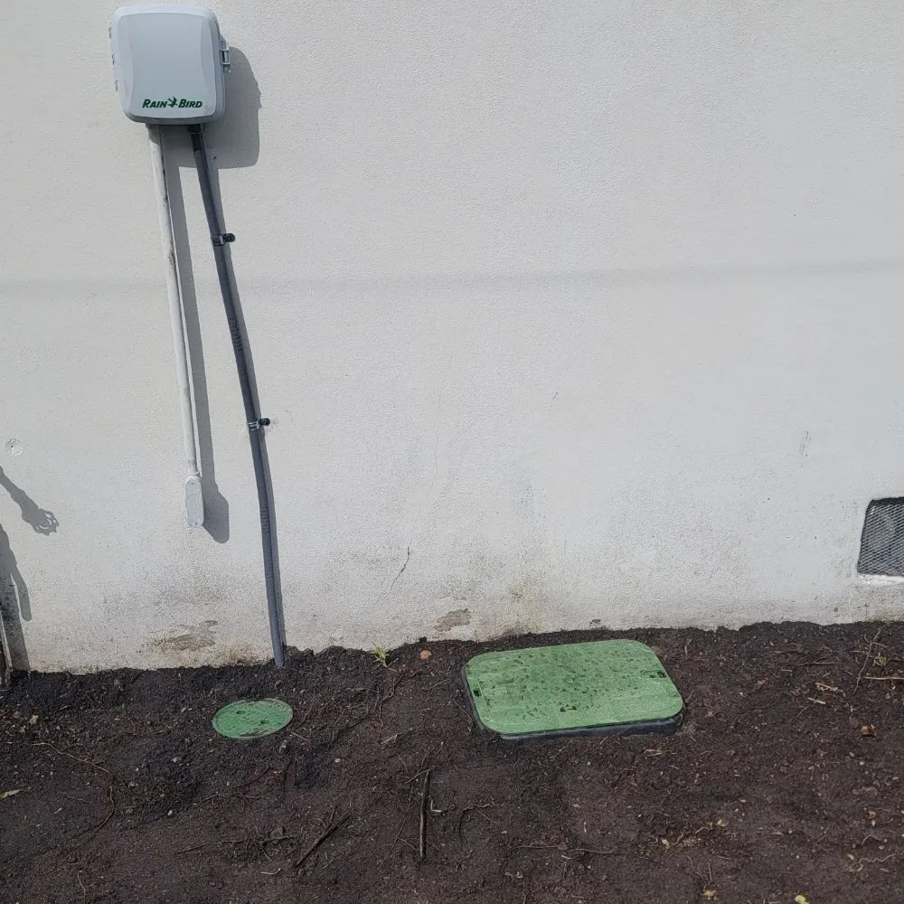 Expert landscape design in miami, FL by Walter’s Landscape & Maintenance