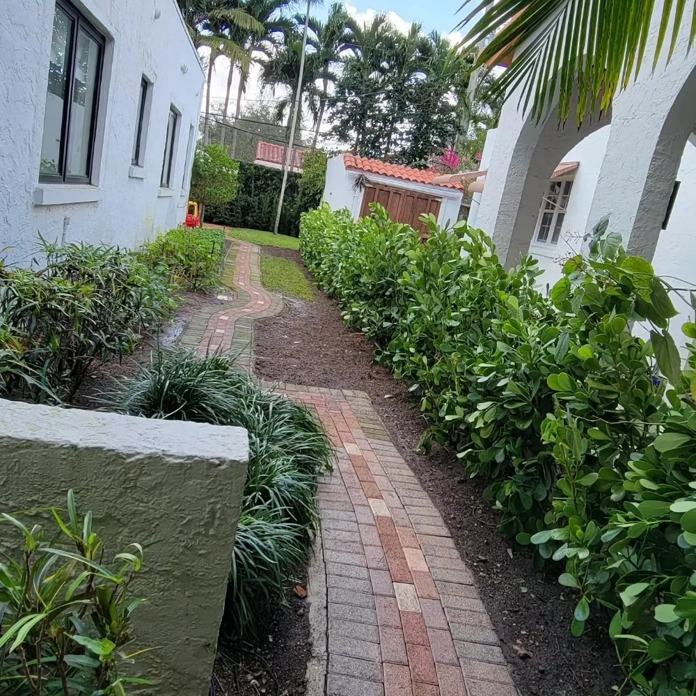 Custom lawn mowing service in miami, FL by Walter’s Landscape & Maintenance