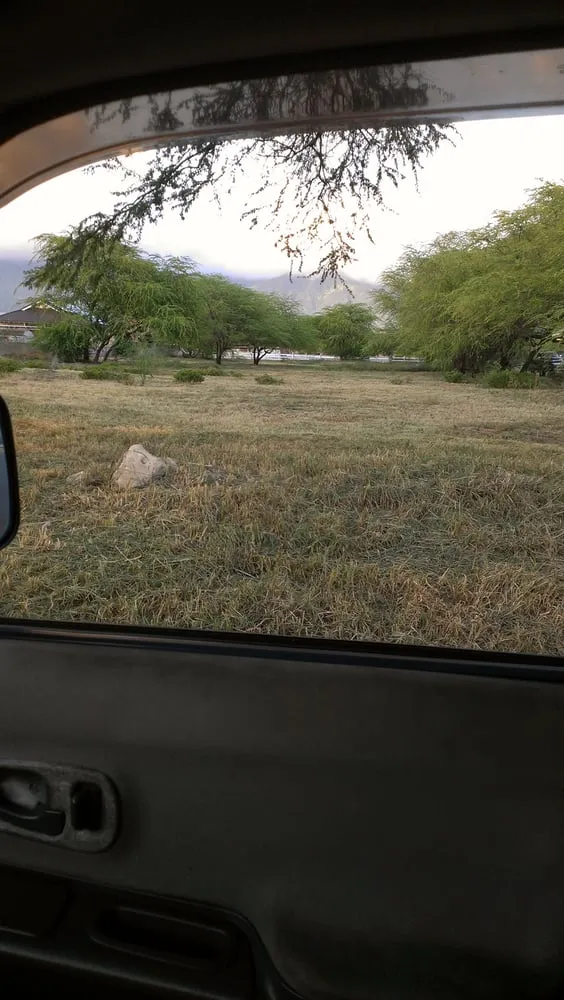 Affordable residential landscaping experts serving Kailua, HI - Walters Landscaping & Tree Trimming