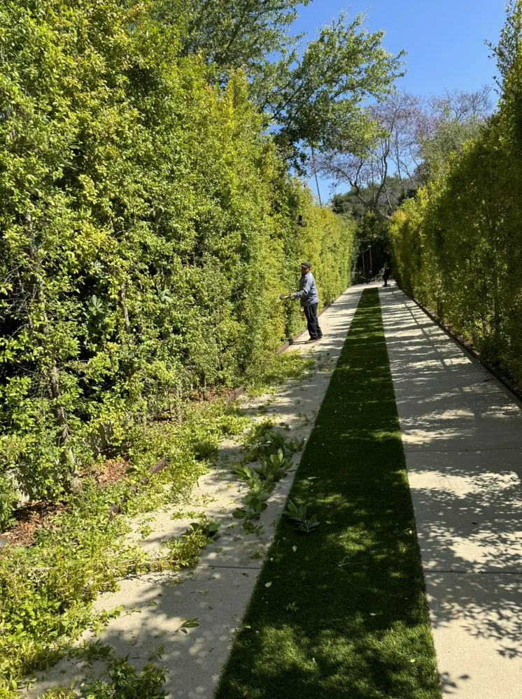 Custom yard cleanup service for outdoor upgrades across Altadena, CA - Walter’s Landscaping