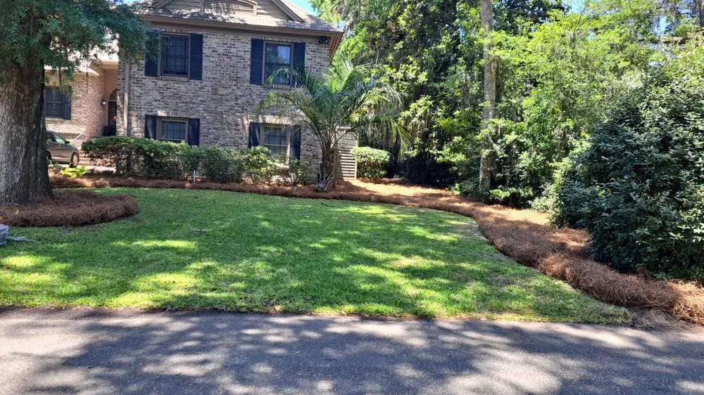 Expert yard maintenance experts serving Okatie, SC - Walters Lawn Care