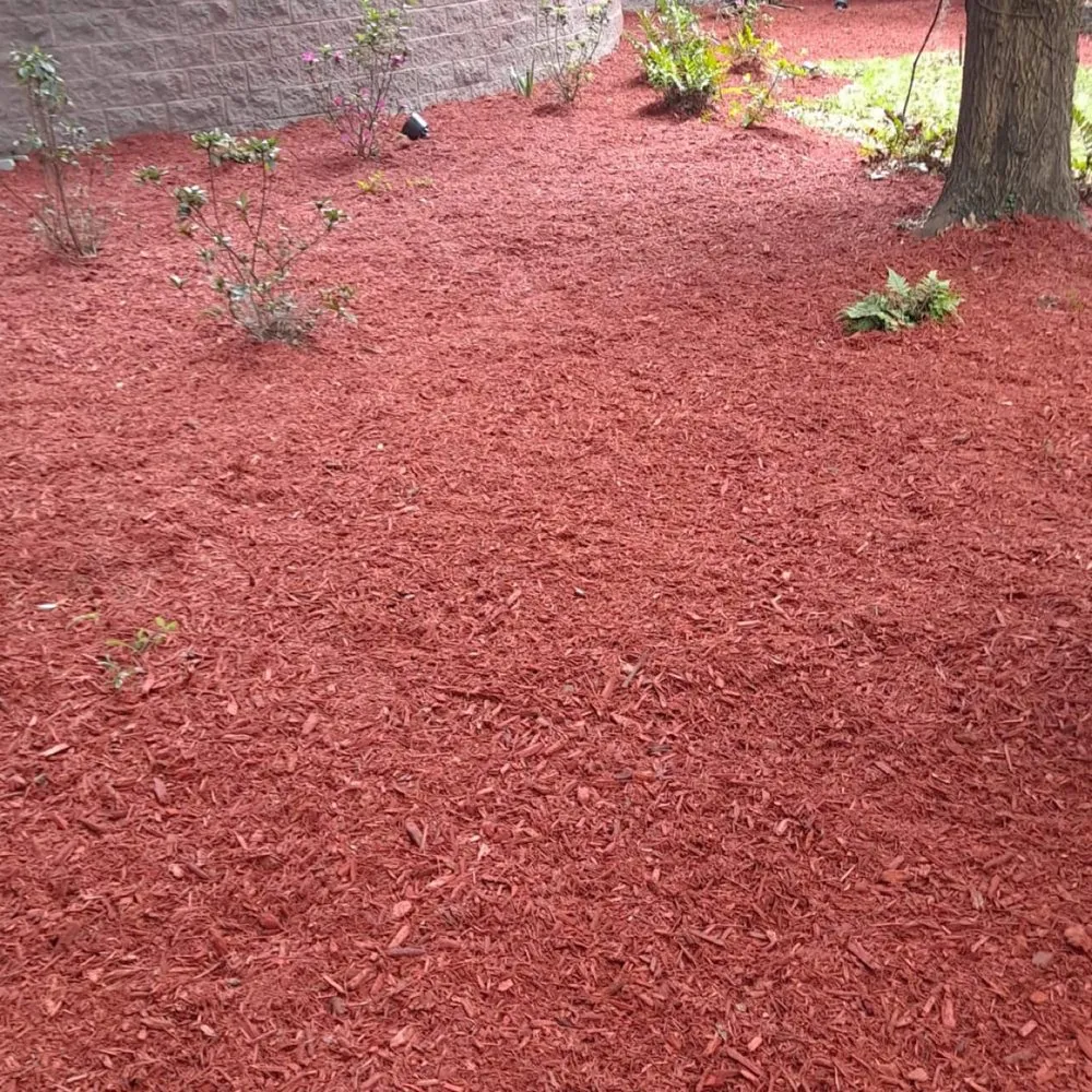 Local lawn care service for outdoor upgrades in Okatie, SC by Walters Lawn Care