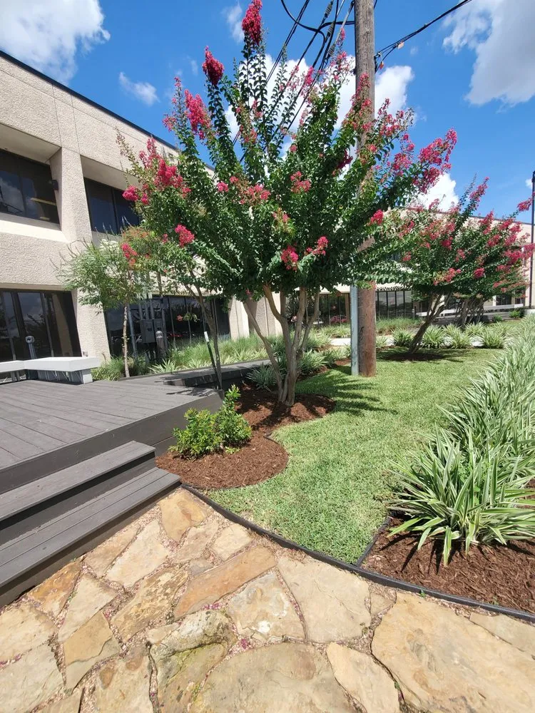 Custom yard cleanup service near you across Friendswood, TX - Walters Lawn Care Services