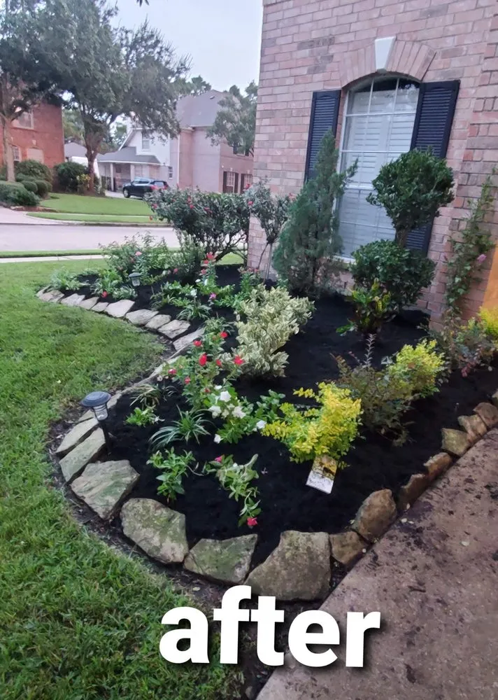 Affordable lawn mowing service in Friendswood, TX by Walters Lawn Care Services