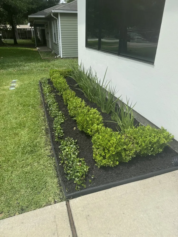 Professional outdoor landscaping for residential properties across Friendswood, TX - Walters Lawn Care Services