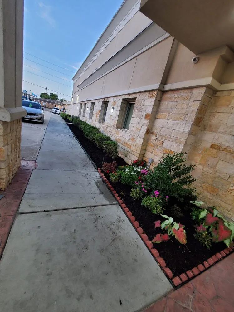 Top-rated garden landscaping for outdoor upgrades across Friendswood, TX - Walters Lawn Care Services