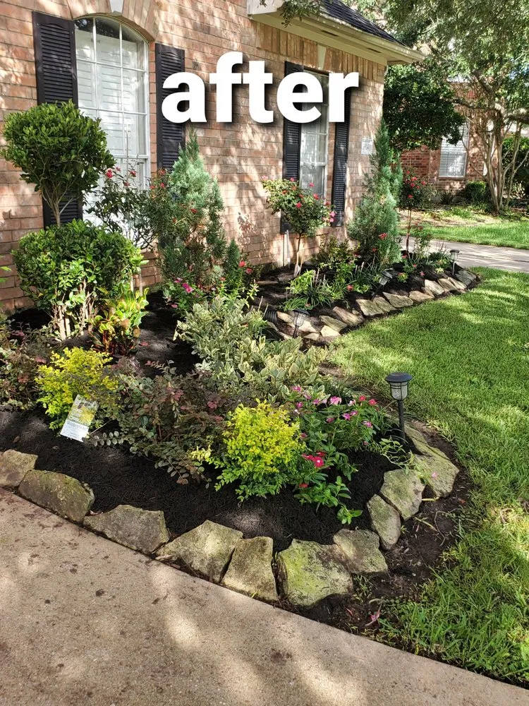 Top-rated yard cleanup service in Friendswood, TX by Walters Lawn Care Services